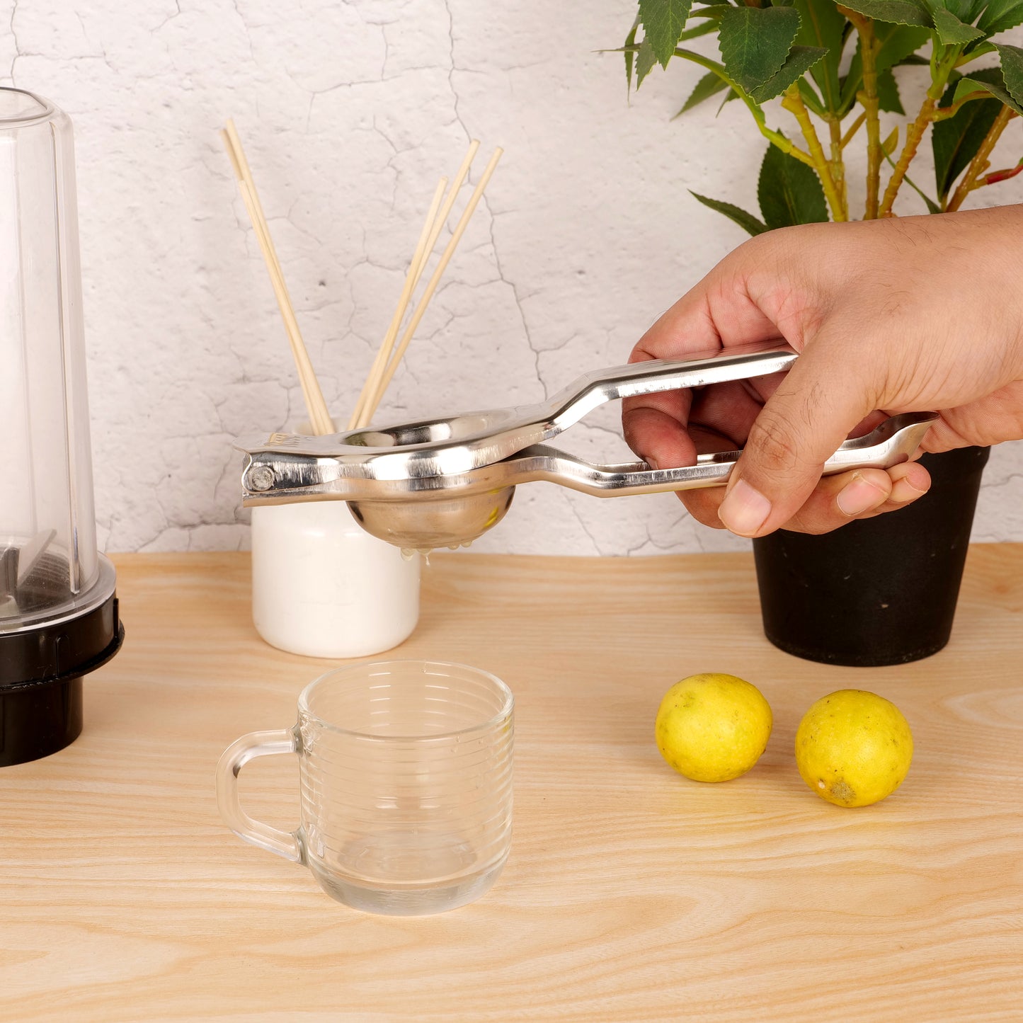 Squeezo Steel : Steel Lemon Squeezer & Citrus Juicer